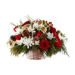 Goodwill & Cheer Basket from Clermont Florist & Wine Shop, flower shop in Clermont